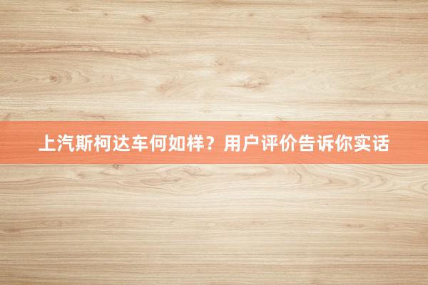 上汽斯柯达车何如样？用户评价告诉你实话